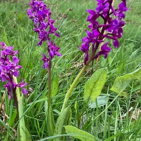 Rural Vosges, 6 Pers., Wifi, Parking, Velos Bienvenue - Fr-1-589-760 * Fresse-sur-Moselle