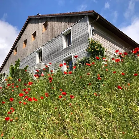 Landhuis Rural Vosges, 6 Pers., Wifi, Parking, Velos Bienvenue Fresse-sur-Moselle