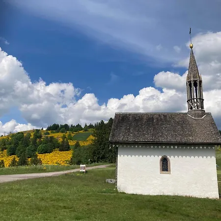 Rural Vosges, 6 Pers., Wifi, Parking, Velos Bienvenue - Fr-1-589-760 Tatil Evi Fresse-sur-Moselle