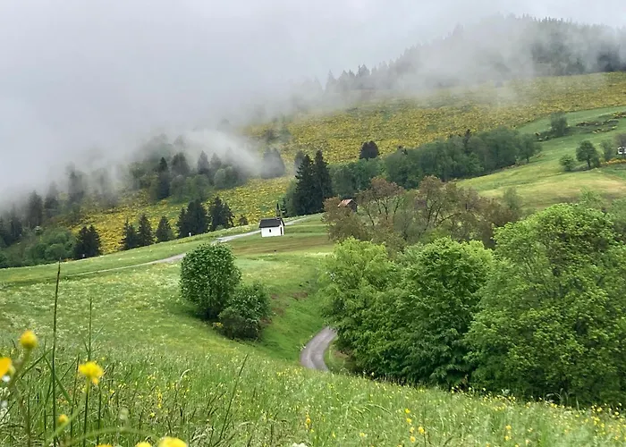 Rural Vosges, 6 Pers., Wifi, Parking, Velos Bienvenue - Fr-1-589-760 펜션 *