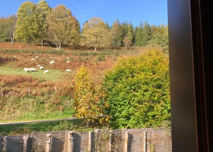 Rural Vosges, 6 Pers., Wifi, Parking, Velos Bienvenue - Fr-1-589-760 *