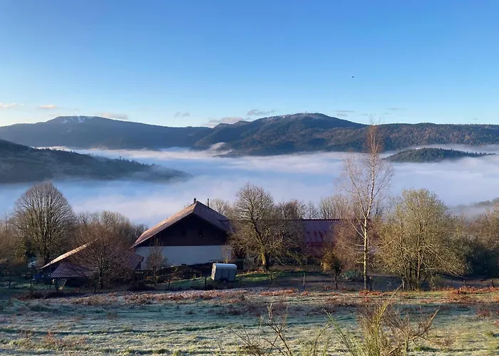 Rural Vosges, 6 Pers., Wifi, Parking, Velos Bienvenue - Fr-1-589-760 펜션 *