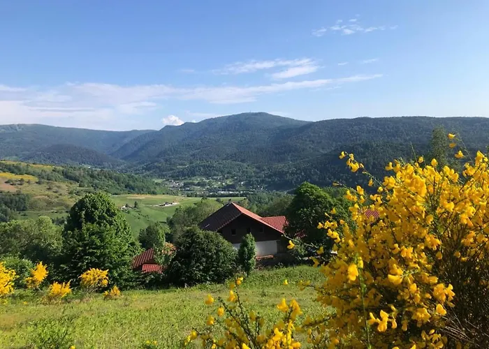 Rural Vosges, 6 Pers., Wifi, Parking, Velos Bienvenue - Fr-1-589-760