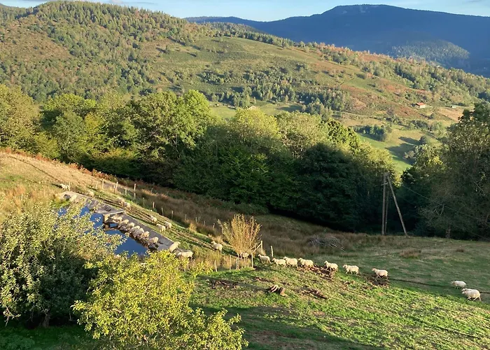 Rural Vosges, 6 Pers., Wifi, Parking, Velos Bienvenue - Fr-1-589-760