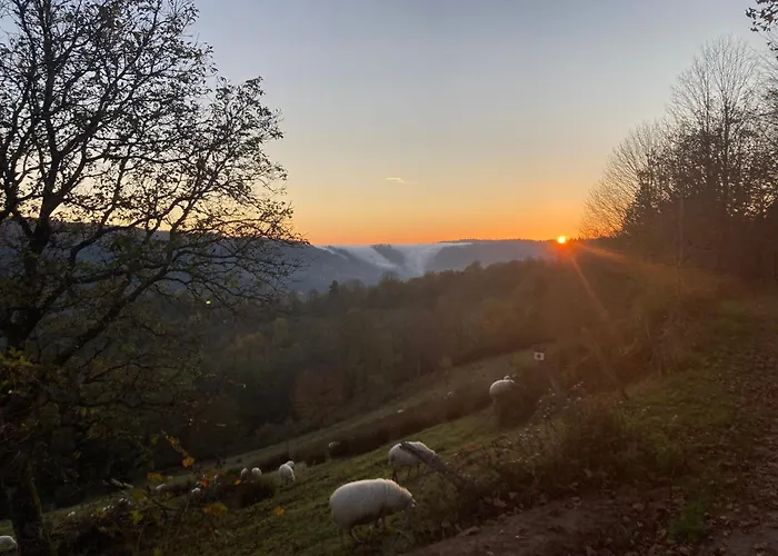 Rural Vosges, 6 Pers., Wifi, Parking, Velos Bienvenue - Fr-1-589-760 펜션 *